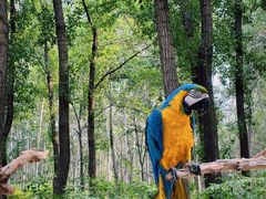 -北京野生动物园