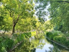 -上海共青森林公园