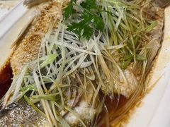 -燕喜堂·中华老字号(大明湖店)