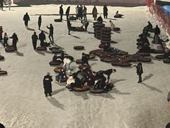 -沈阳奥体冰雪嘉年华