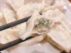 饺子-金味德兰州牛肉拉面