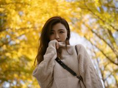 -三里屯东五街银杏大道