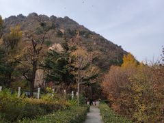 -北京鹫峰国家森林公园