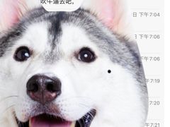 -黄埔华苑酒家(黄埔总店)