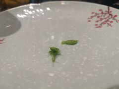 -熊猫家新派川菜(百里一·龙兴集店)
