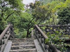 -鼎湖山风景区