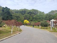 -广州市帽峰山景区