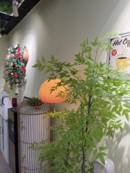 -变美丽半永久纹眉连锁·机器野生眉•洗眉