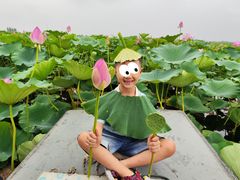 -白洋淀景区