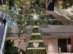 -深圳湾万象城(南山店)