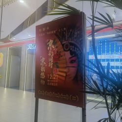 点击看大图 -玛莲朵·海菲秀冰珀科