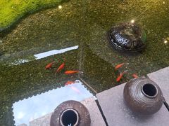 -几荷·恰似故人来(秀水广场店)