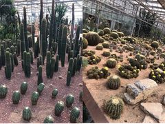 -龙达温泉生态城