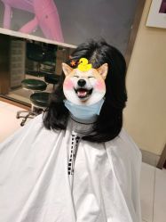 -卡尔诗·科技美肤连锁