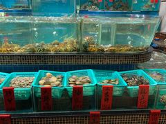 水产区-海大大蒸汽海鲜餐厅·粤菜·特色小炒(欢乐颂店)