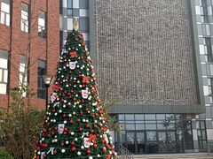 -上海德威外籍人员子女学校(浦西校区)