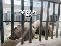 -太原动物园