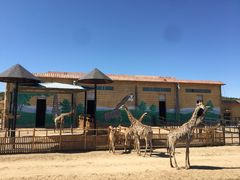 -鄂尔多斯野生动物园