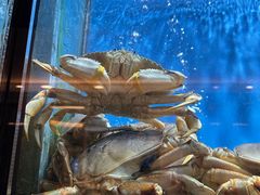 -珍宝海鲜JUMBO Seafood(尚嘉店)