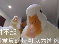 -闻酥园(大慈寺店)