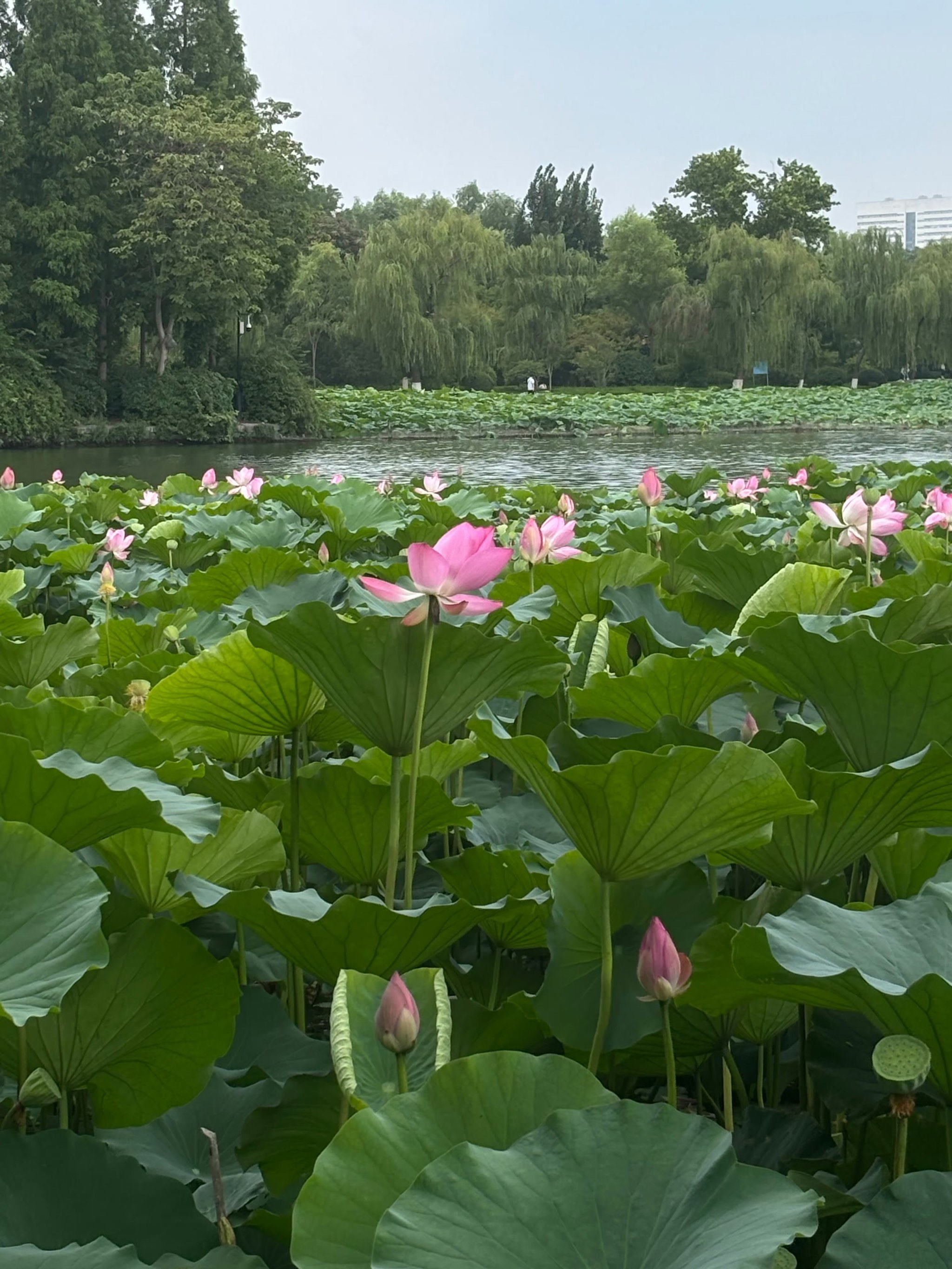 济南西站附近景点图片