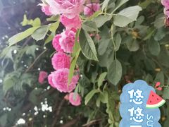 -贮水山儿童公园