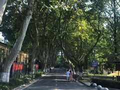 -T80科技文化国际社区-停车场