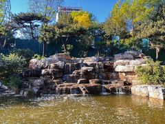 -迎泽公园