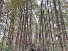 -同里国家湿地公园