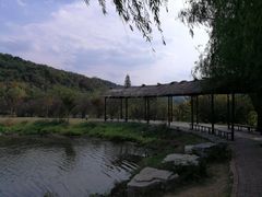 -石塘人家