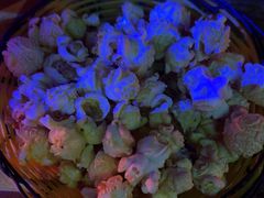 -MOSSO音乐酒吧·Live House(南京西路店)