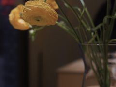 -Onirii Coffee(长乐路店)