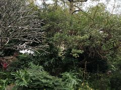 -晓港公园
