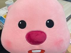 -KAKAO FRIENDS(弘大店)