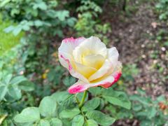 -人民公园(罗湖区)