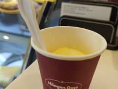 -哈根达斯(石家庄北国店)