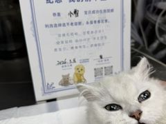 -芭比堂动物医院·心脏科·老年急重症·夜诊·吉雅分院