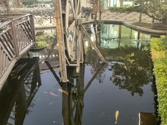 -水云居