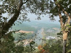 -中国科学院西双版纳热带植物园