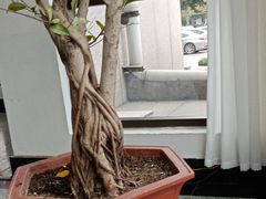 -高密市市民之家