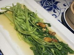 -绿茶餐厅(乐峰广场店)