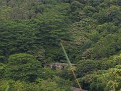-黄埔油麻山森林公园