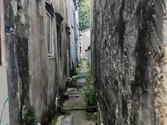 -晓琦农家菜馆·地道农家菜