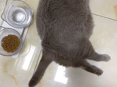 -德元·美联众合24小时动物医院(总院)