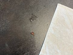 -唐河王记·南阳民间菜(国基路店)