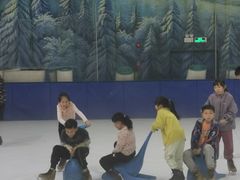 -世界之窗阿尔卑斯冰雪世界
