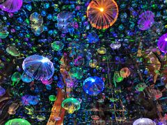 -成都梵高星空艺术馆(春熙路旗舰店)