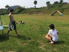 -良成狗狗乐园