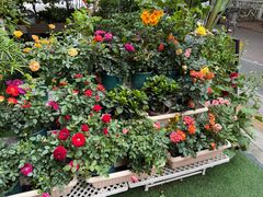 -山水茶艺馆·点心粤菜·30年老字号