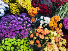 -双季花艺园艺市场(浦东店)